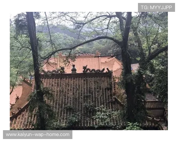 罗伯逊二零零七和二零一九年两度夺冠 冲击第三冠